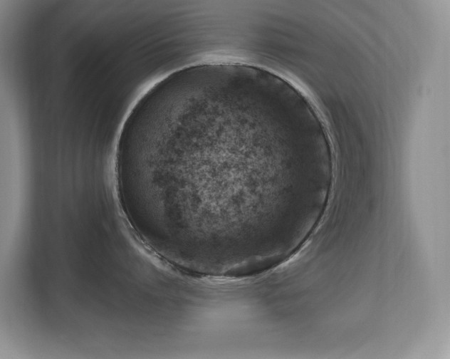 X0000112800864200908211132