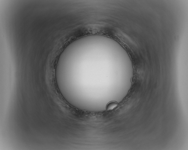 X0000112800865200908211131