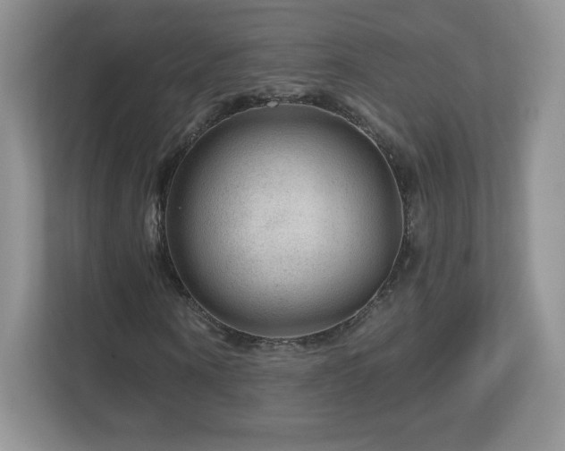 X0000112800866200908211131