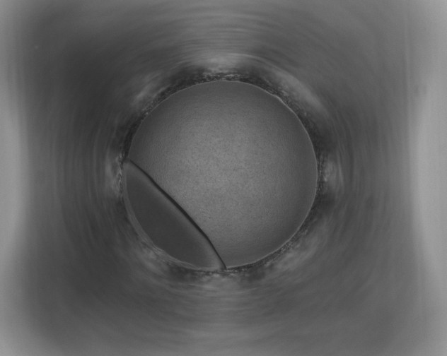 X0000112800868200908211131