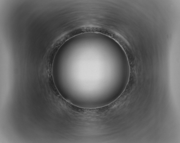 X0000112800870200908211131