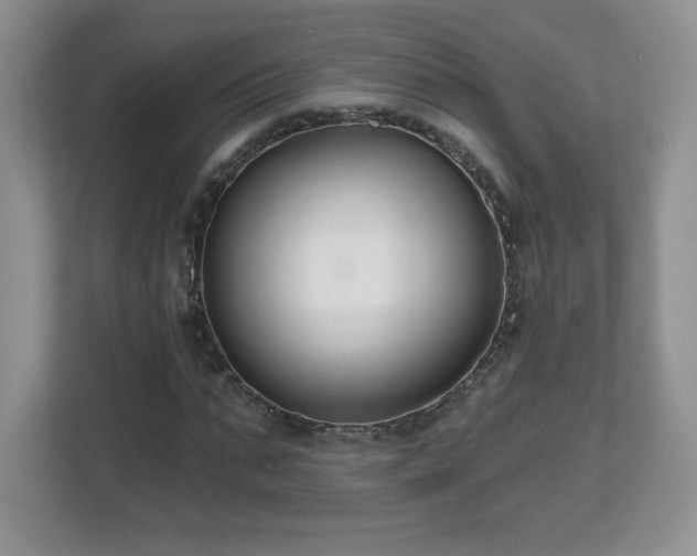 X0000112800871200908211131