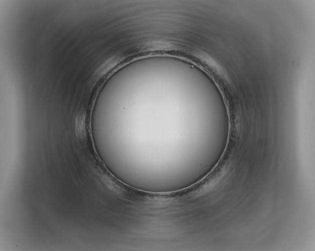 X0000112800873200908211131