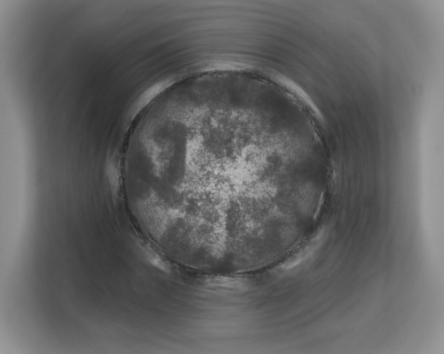 X0000112800874200908211131