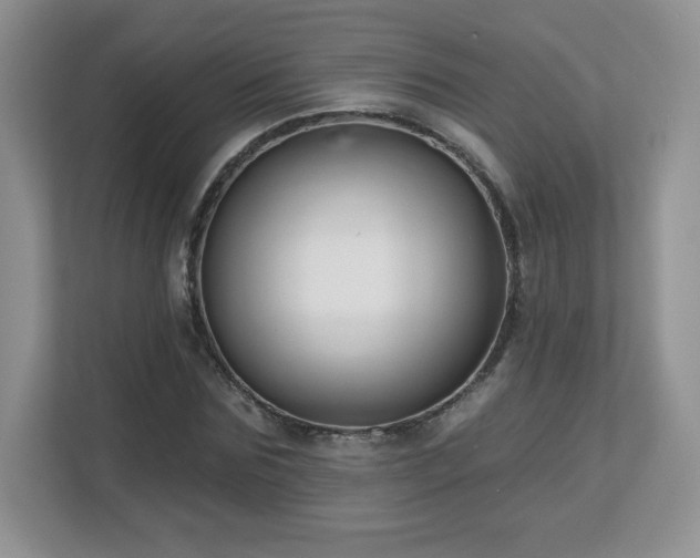 X0000112800875200908211131