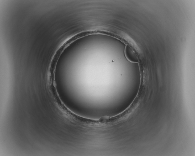 X0000112800876200908211131