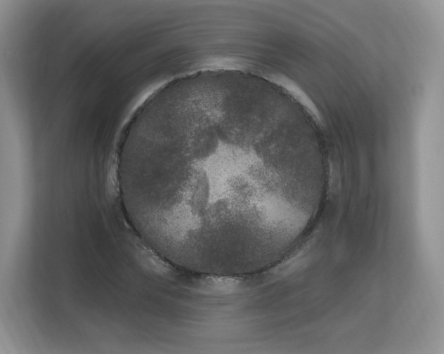 X0000112800878200908211131