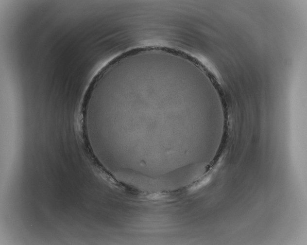 X0000112800879200908211131