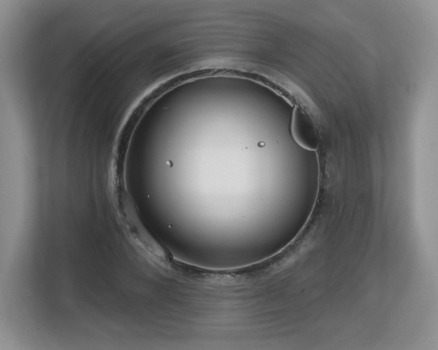 X0000112800880200908211131