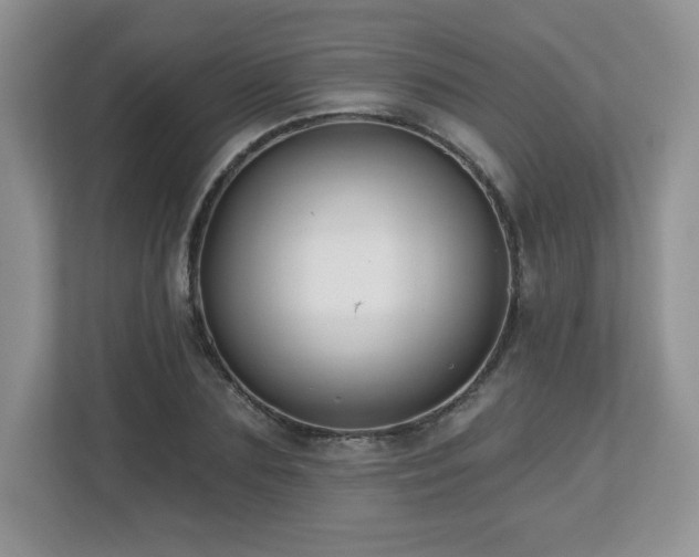 X0000112800883200908211131