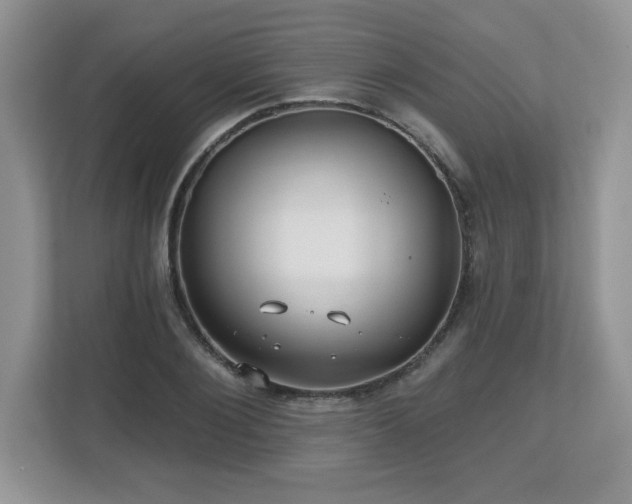 X0000112800884200908211131