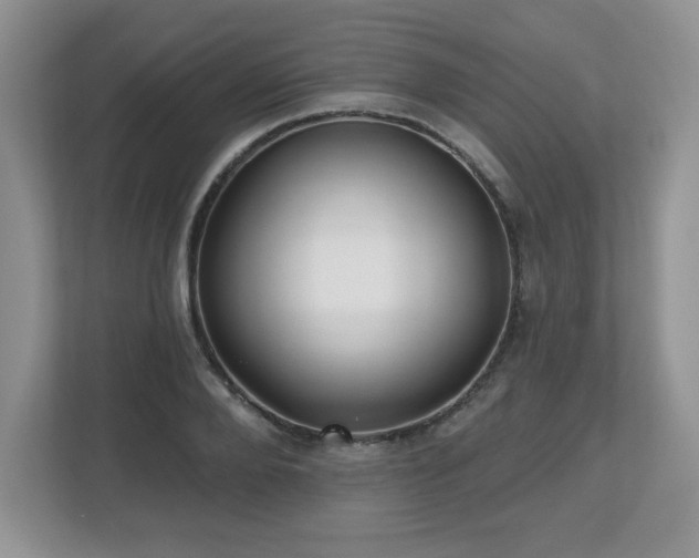 X0000112800888200908211131
