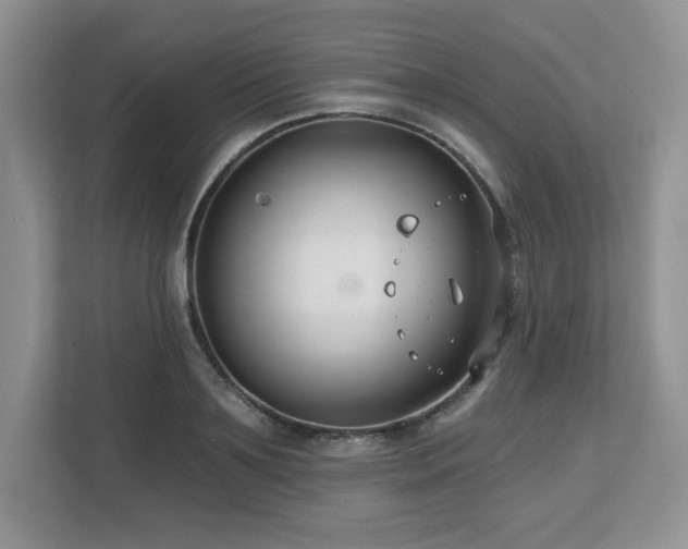 X0000112800891200908211131