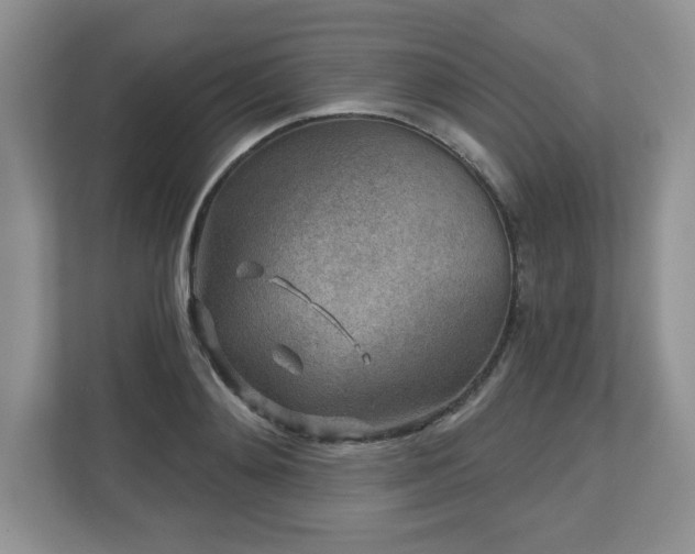 X0000112800892200908211131