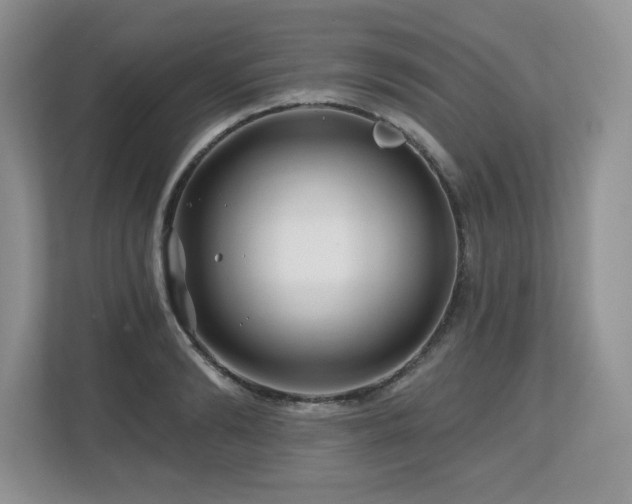 X0000112800894200908211131