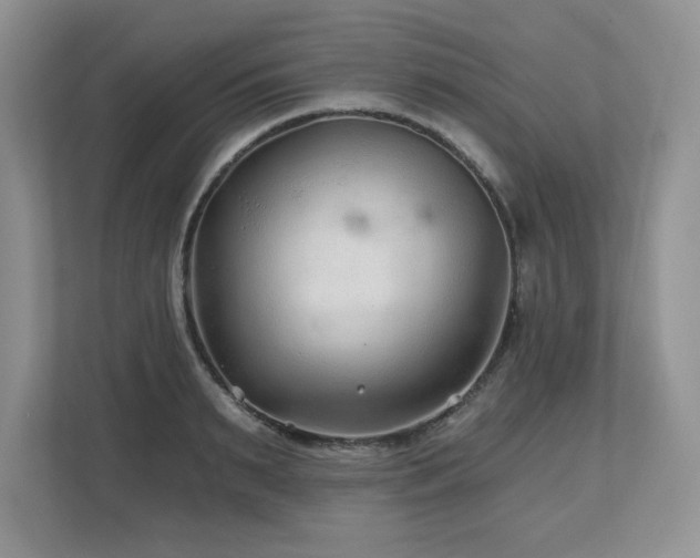 X0000112800895200908211131