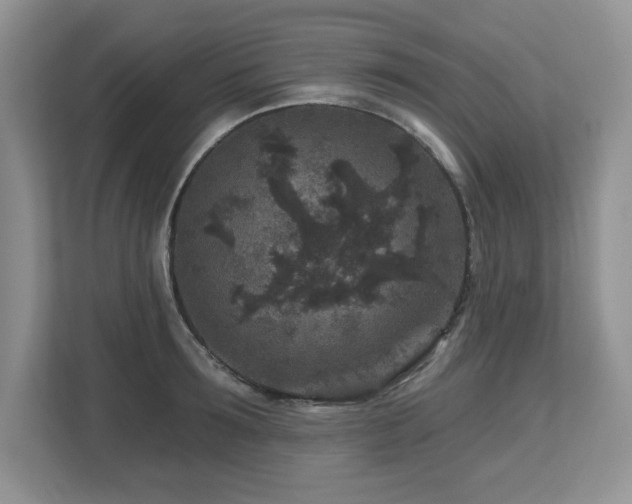 X0000112800899200908211131