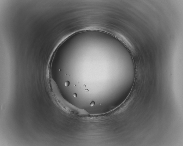 X0000112800900200908211131
