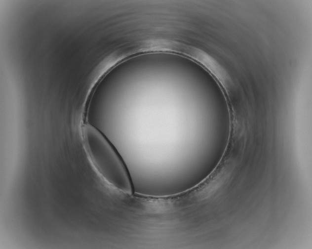 X0000112800901200908211131
