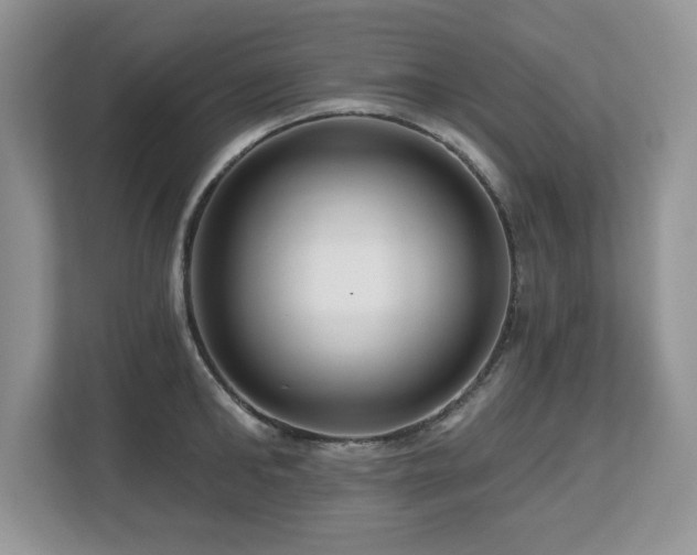 X0000112800902200908211131