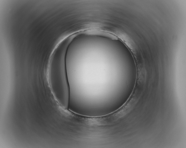 X0000112800904200908211131