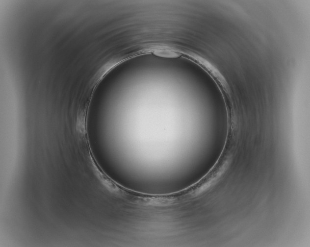 X0000112800905200908211131