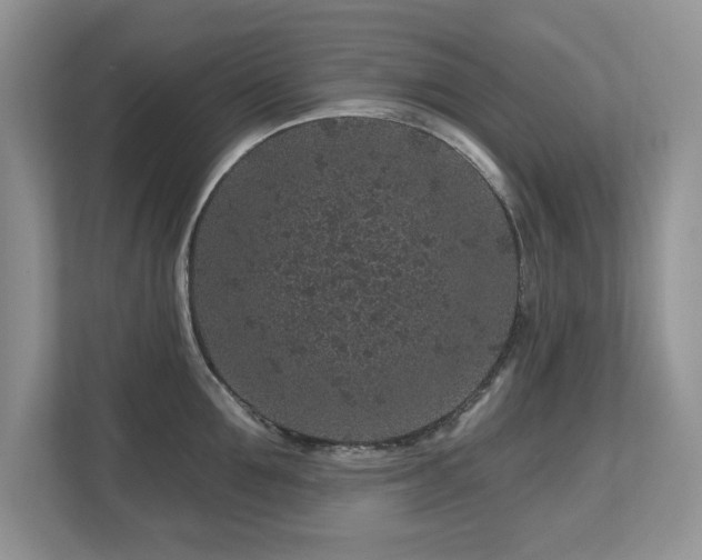 X0000112800907200908211131