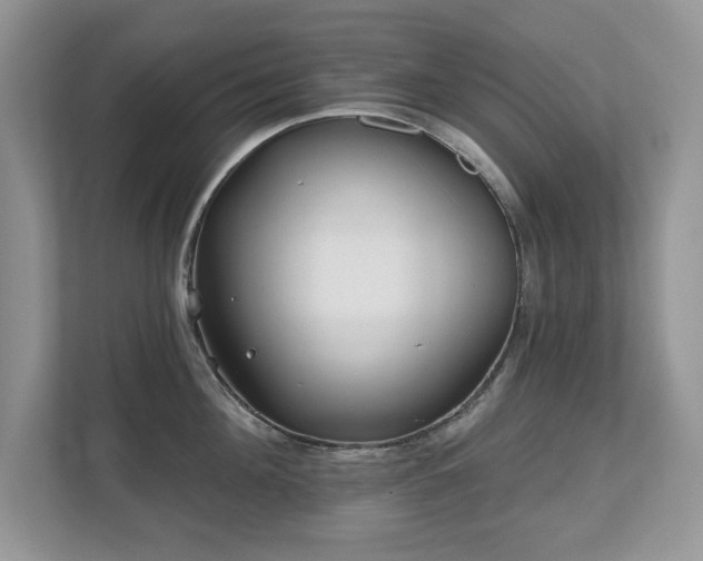X0000112800908200908211131