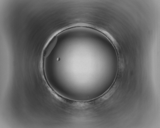 X0000112800910200908211131