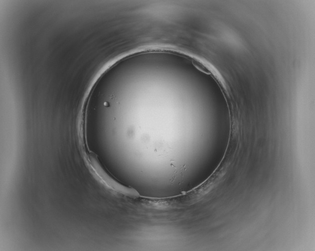 X0000112800911200908211131