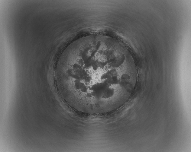 X0000112800913200908211130