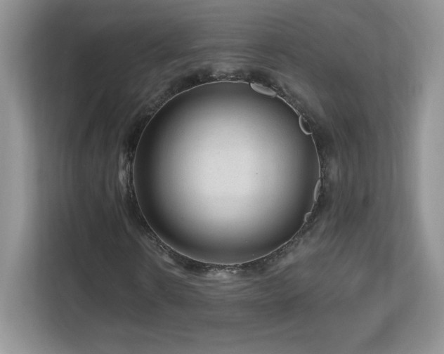 X0000112800914200908211130