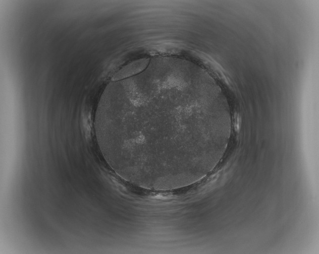 X0000112800915200908211130