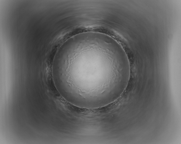 X0000112800917200908211130