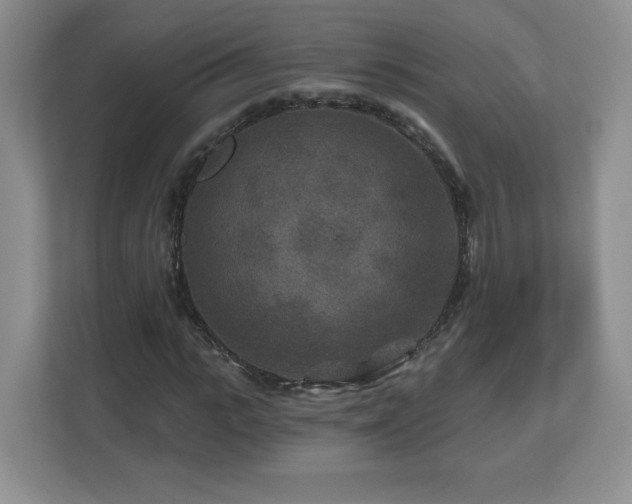 X0000112800919200908211130