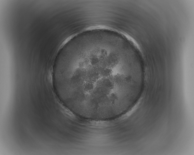 X0000112800921200908211130