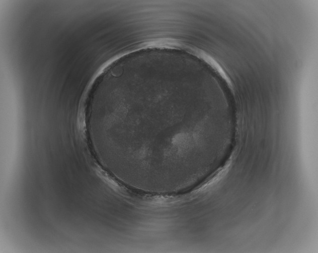 X0000112800923200908211130
