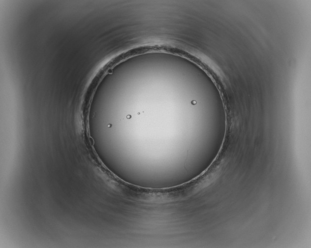 X0000112800927200908211130