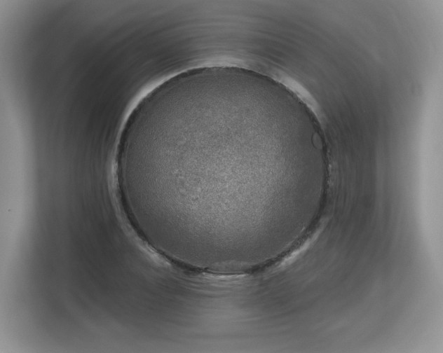 X0000112800928200908211130