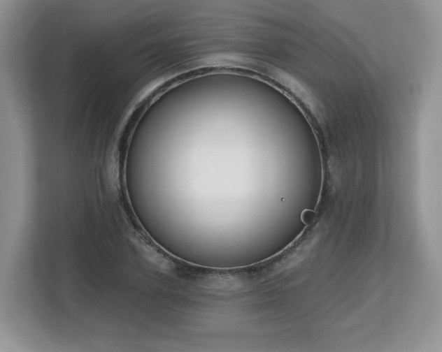 X0000112800931200908211130
