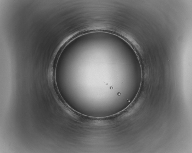 X0000112800933200908211130