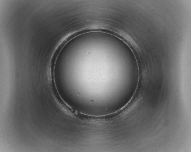 X0000112800934200908211130