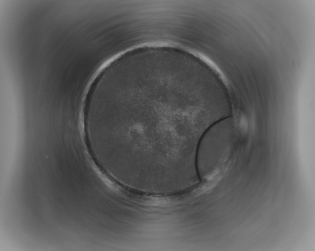 X0000112800935200908211130