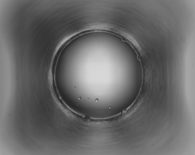 X0000112800936200908211130