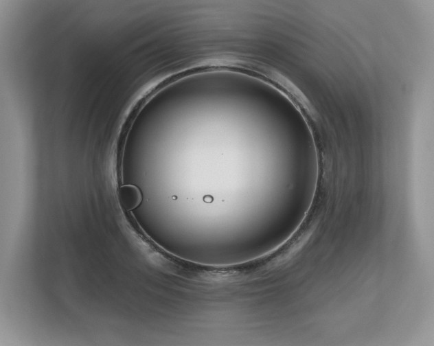 X0000112800939200908211130