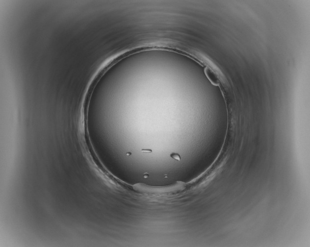 X0000112800940200908211130