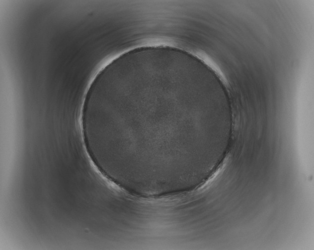 X0000112800943200908211131