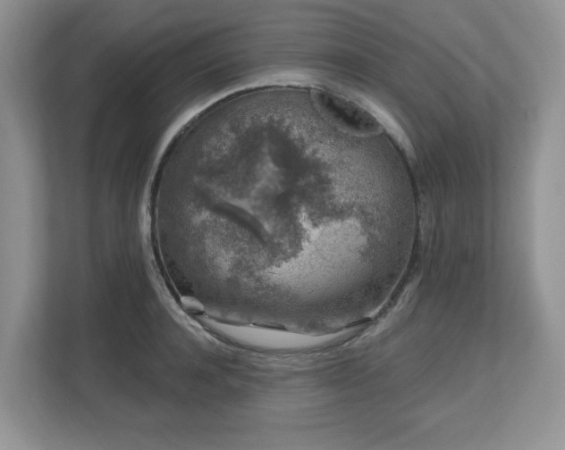 X0000112800944200908211131