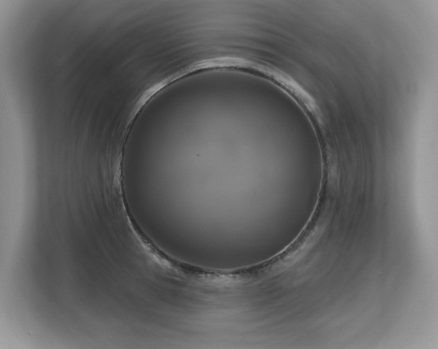 X0000112800945200908211131