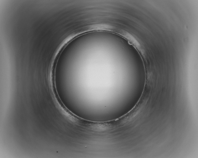 X0000112800947200908211131